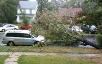 NRN-Irene-Fauquier