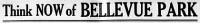 BellevuePark-Headline