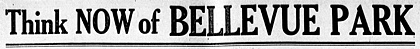 BellevuePark-Headline