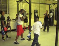 Boxing for Media 1